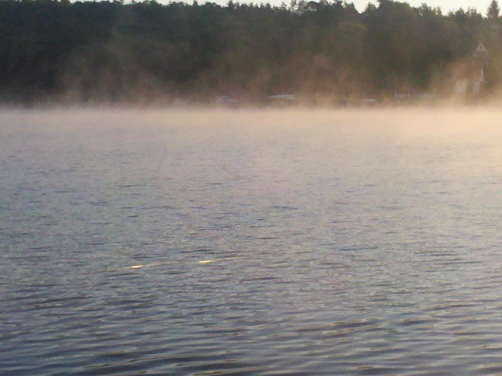 la harsany - img20130519052355.jpg